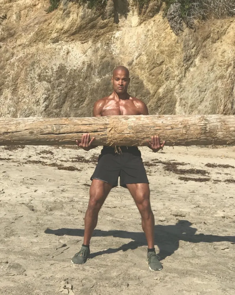 David Goggins 