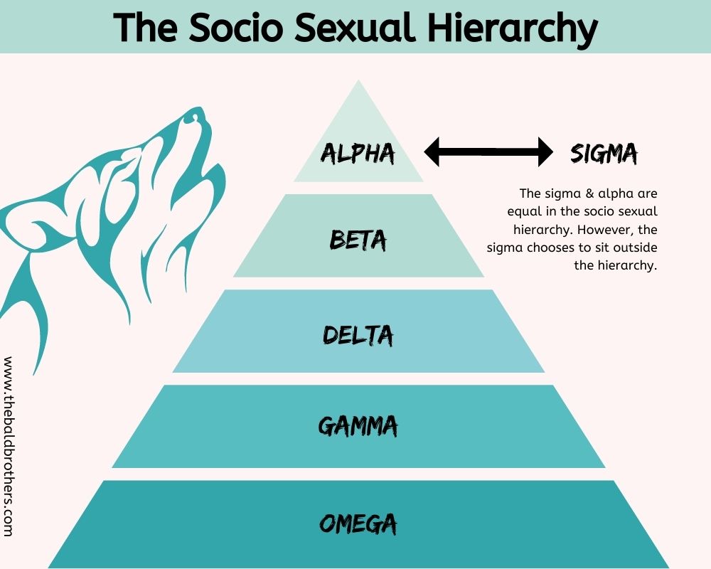 Socio Sexual Hierarchy Diagram
