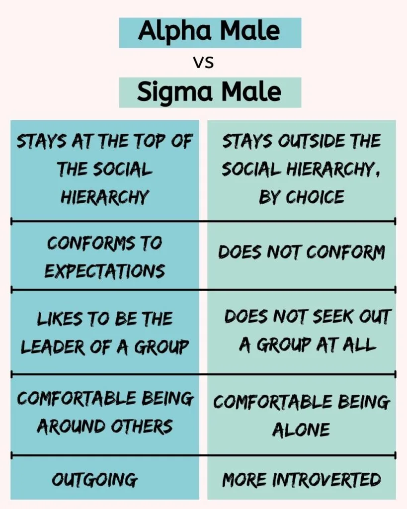alpha male vs sigma male
