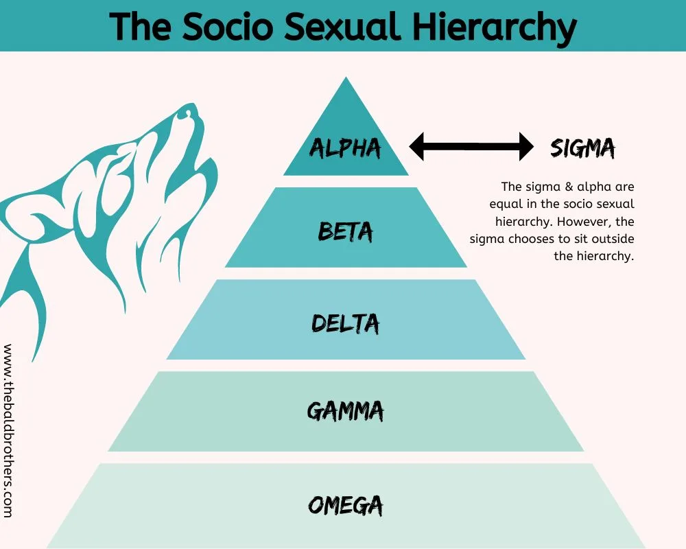 Where On The Socio Sexual Hierarchy Does The Alpha Male Fit