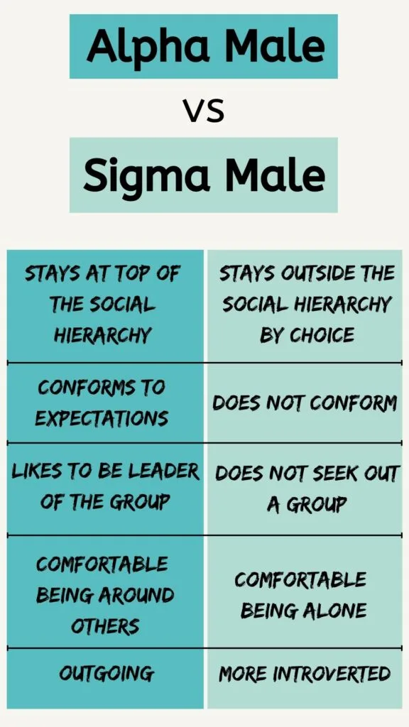 alpha male vs sigma male